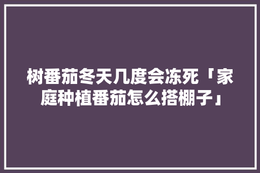 树番茄冬天几度会冻死「家庭种植番茄怎么搭棚子」 树番茄冬天几度会冻死「家庭种植番茄怎么搭棚子」 植物种类
