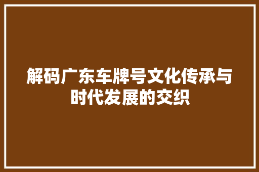解码广东车牌号文化传承与时代发展的交织