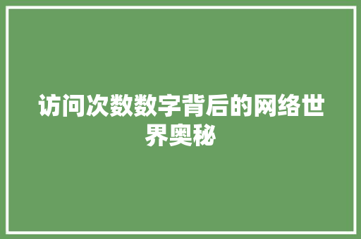 访问次数数字背后的网络世界奥秘