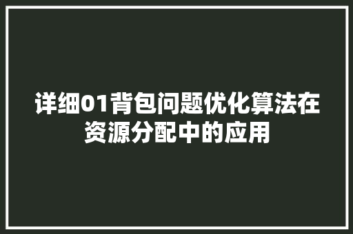详细01背包问题优化算法在资源分配中的应用