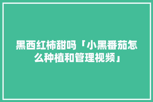 黑西红柿甜吗「小黑番茄怎么种植和管理视频」