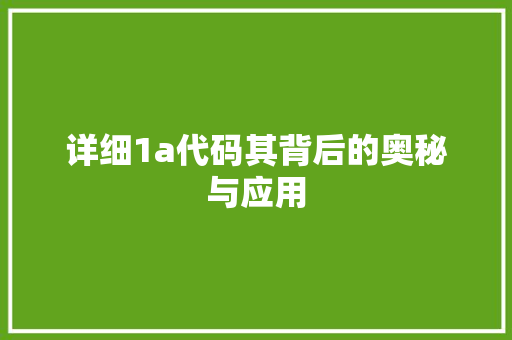 详细1a代码其背后的奥秘与应用
