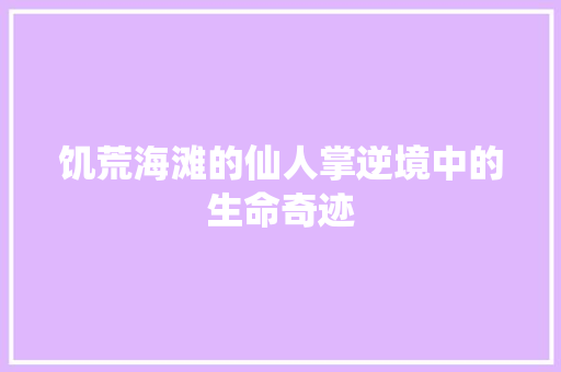 饥荒海滩的仙人掌逆境中的生命奇迹