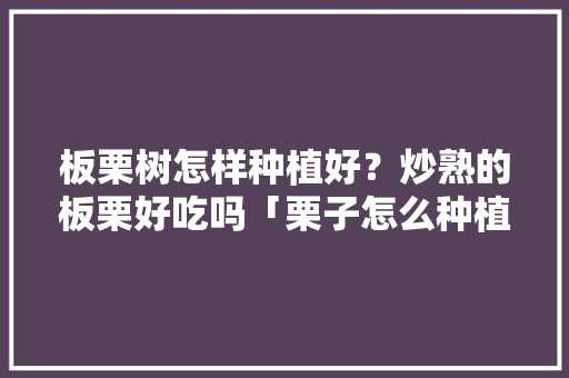 板栗树怎样种植好？炒熟的板栗好吃吗「栗子怎么种植小番茄苗子视频」