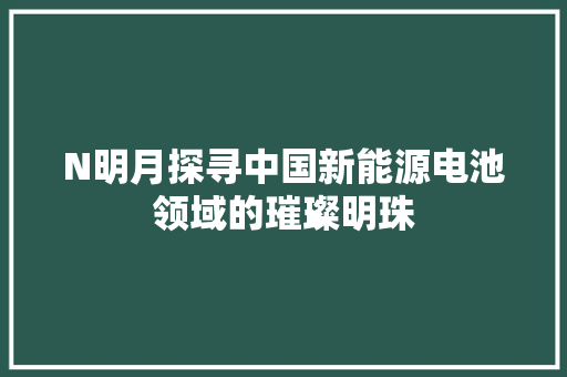 N明月探寻中国新能源电池领域的璀璨明珠
