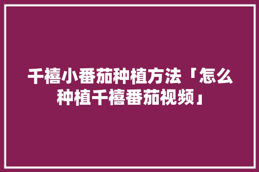 千禧小番茄种植方法「怎么种植千禧番茄视频」 千禧小番茄种植方法「怎么种植千禧番茄视频」 番茄种植技巧