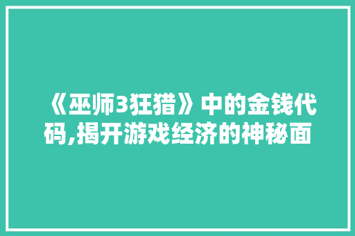 《巫师3狂猎》中的金钱代码,揭开游戏经济的神秘面纱