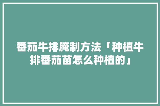 番茄牛排腌制方法「种植牛排番茄苗怎么种植的」