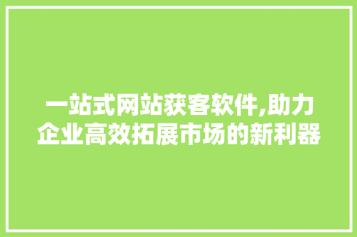 一站式网站获客软件,助力企业高效拓展市场的新利器