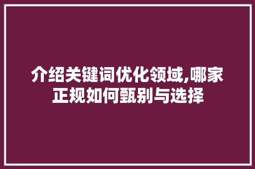 介绍关键词优化领域,哪家正规如何甄别与选择