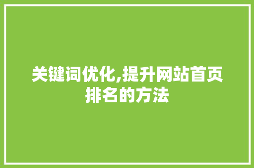 关键词优化,提升网站首页排名的方法