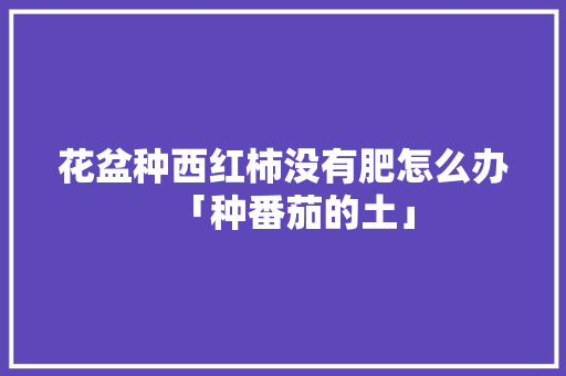 花盆种西红柿没有肥怎么办「种番茄的土」 农业常识 花盆种西红柿没有肥怎么办「种番茄的土」 花盆种西红柿没有肥怎么办「种番茄的土」 农业常识