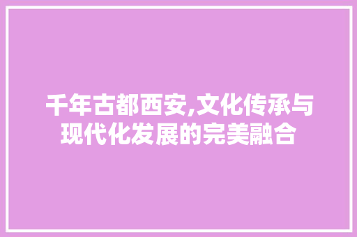 千年古都西安,文化传承与现代化发展的完美融合