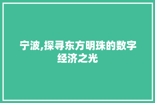 宁波,探寻东方明珠的数字经济之光