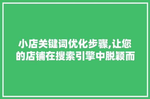 小店关键词优化步骤,让您的店铺在搜索引擎中脱颖而出