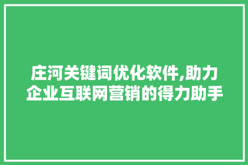 庄河关键词优化软件,助力企业互联网营销的得力助手