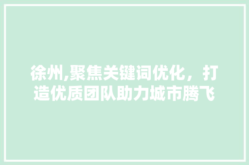 徐州,聚焦关键词优化，打造优质团队助力城市腾飞