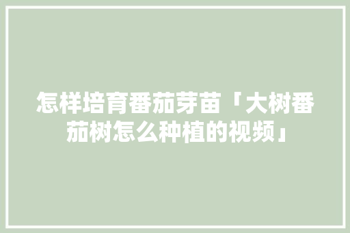 怎样培育番茄芽苗「大树番茄树怎么种植的视频」 怎样培育番茄芽苗「大树番茄树怎么种植的视频」 农业常识