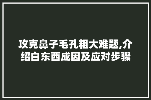 攻克鼻子毛孔粗大难题,介绍白东西成因及应对步骤