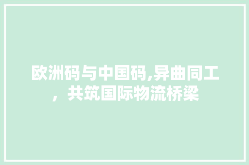 欧洲码与中国码,异曲同工，共筑国际物流桥梁