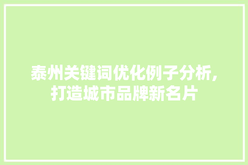 泰州关键词优化例子分析,打造城市品牌新名片