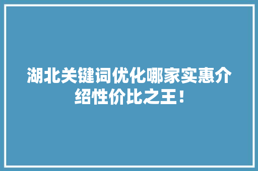 湖北关键词优化哪家实惠介绍性价比之王！