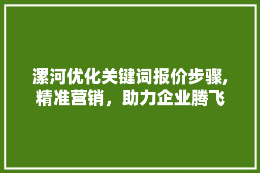 漯河优化关键词报价步骤,精准营销，助力企业腾飞