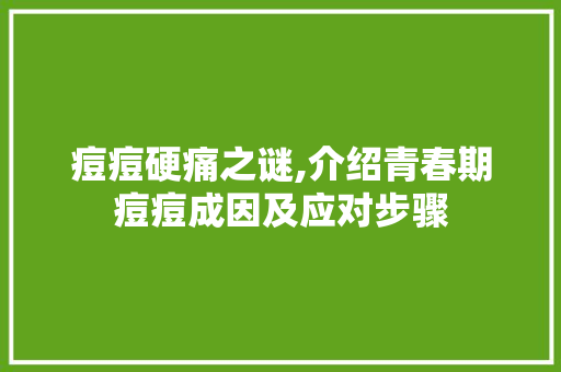 痘痘硬痛之谜,介绍青春期痘痘成因及应对步骤