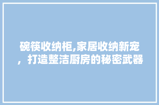 碗筷收纳柜,家居收纳新宠，打造整洁厨房的秘密武器