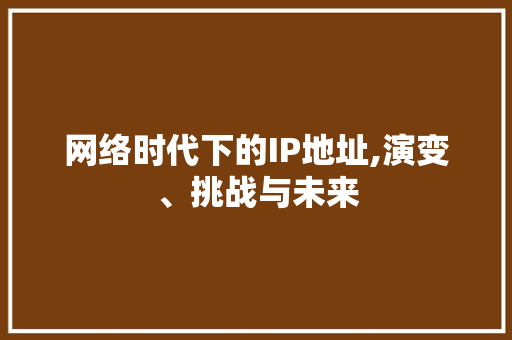 网络时代下的IP地址,演变、挑战与未来