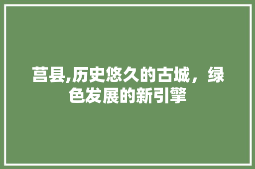 莒县,历史悠久的古城，绿色发展的新引擎