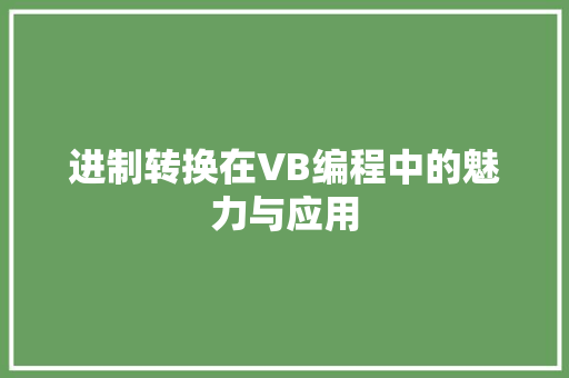 进制转换在VB编程中的魅力与应用