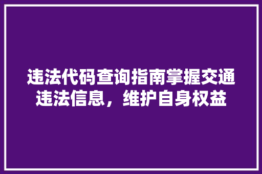 违法代码查询指南掌握交通违法信息，维护自身权益 花朵知识