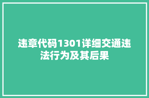 违章代码1301详细交通违法行为及其后果