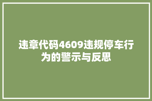 违章代码4609违规停车行为的警示与反思