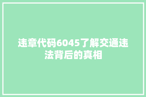 违章代码6045了解交通违法背后的真相
