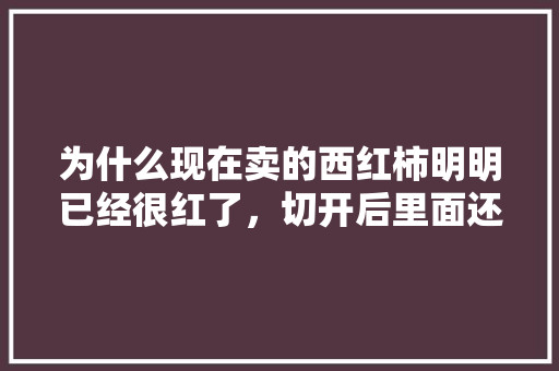为什么现在卖的西红柿明明已经很红了，切开后里面还是硬心「拱棚番茄怎么种植视频教程」