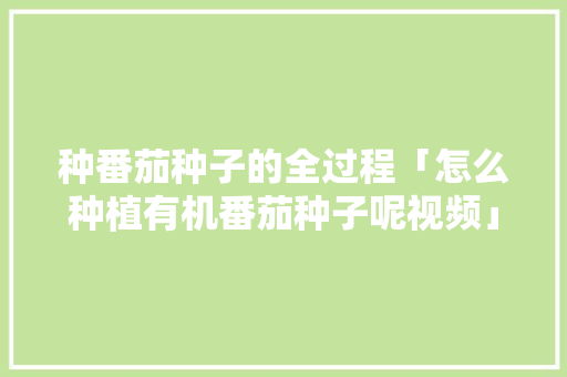 种番茄种子的全过程「怎么种植有机番茄种子呢视频」 种番茄种子的全过程「怎么种植有机番茄种子呢视频」 番茄种植技巧
