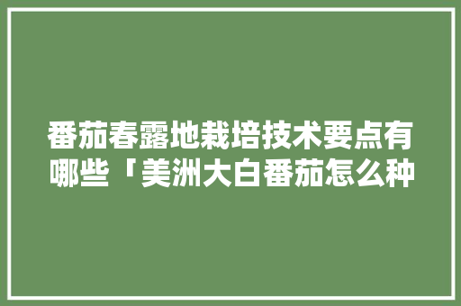 番茄春露地栽培技术要点有哪些「美洲大白番茄怎么种植的」