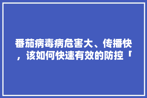 番茄病毒病危害大、传播快,该如何快速有效的防控「番茄种植怎么预防感染病毒」 种植技巧 番茄病毒病危害大、传播快,该如何快速有效的防控「番茄种植怎么预防感染病毒」 番茄病毒病危害大、传播快,该如何快速有效的防控「番茄种植怎么预防感染病毒」 种植技巧