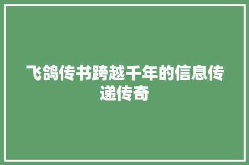 飞鸽传书跨越千年的信息传递传奇