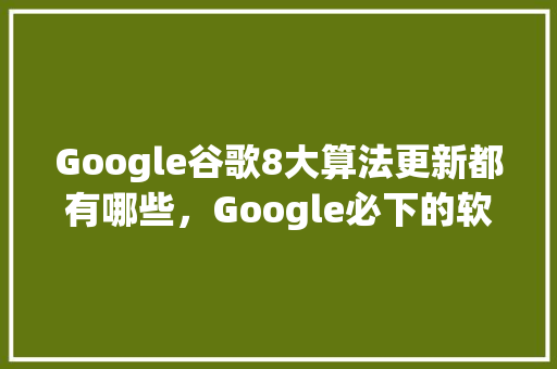 Google谷歌8大算法更新都有哪些，Google必下的软件