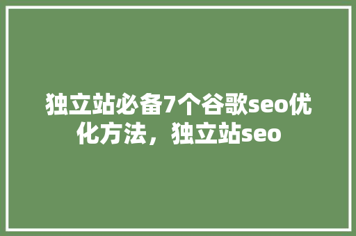 独立站必备7个谷歌seo优化方法，独立站seo