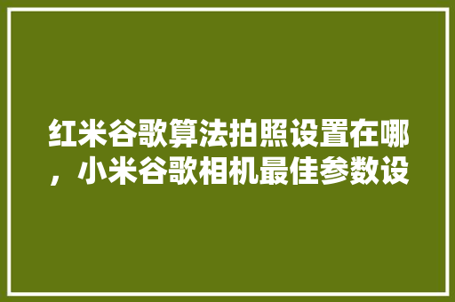 红米谷歌算法拍照设置在哪，小米谷歌相机最佳参数设置