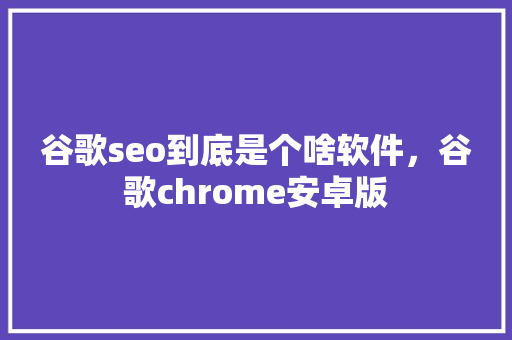 谷歌seo到底是个啥软件，谷歌chrome安卓版