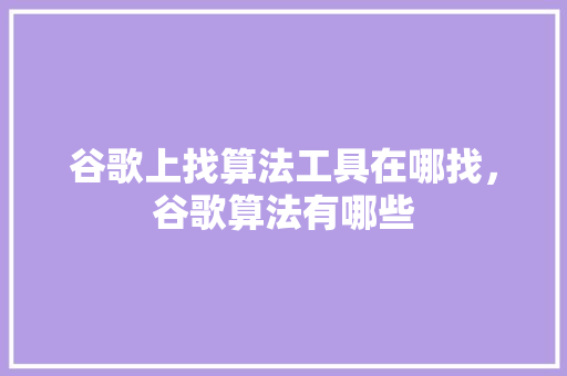 谷歌上找算法工具在哪找，谷歌算法有哪些