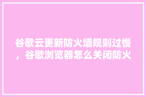 谷歌云更新防火墙规则过慢，谷歌浏览器怎么关闭防火墙