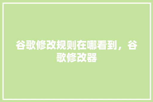 谷歌修改规则在哪看到，谷歌修改器