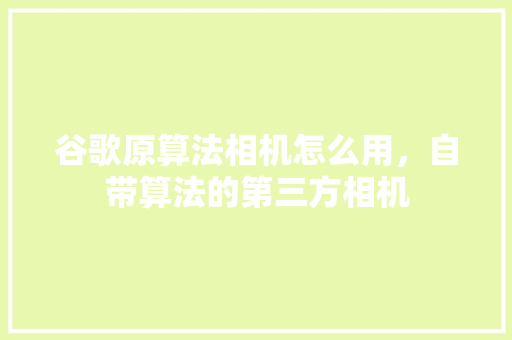 谷歌原算法相机怎么用，自带算法的第三方相机