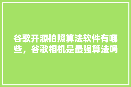 谷歌开源拍照算法软件有哪些，谷歌相机是最强算法吗